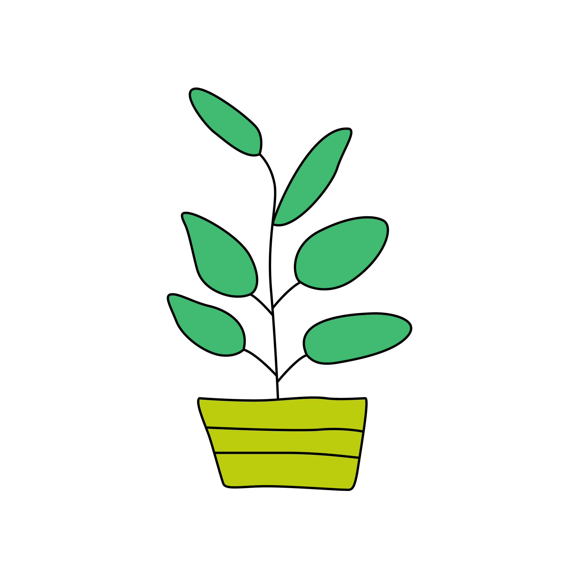 Plant Multileaf_filled